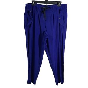 Paskho Santuary Pleated Stretch Pants Tech Travel